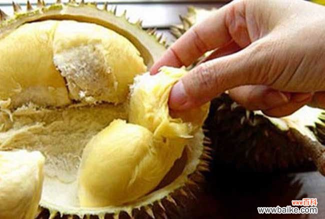 榴莲食用 榴莲怎么吃最好?