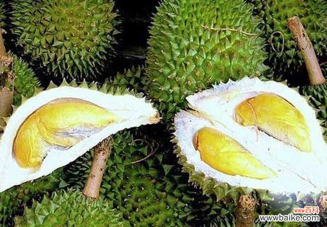 榴莲食用 榴莲怎么吃最好?