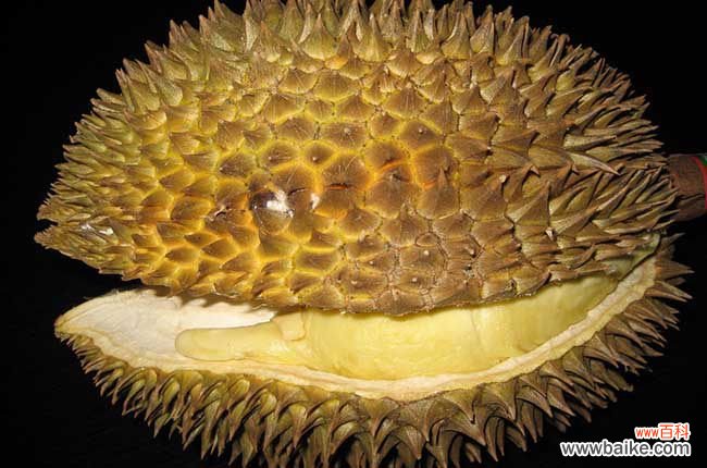 榴莲食用 榴莲怎么吃最好?