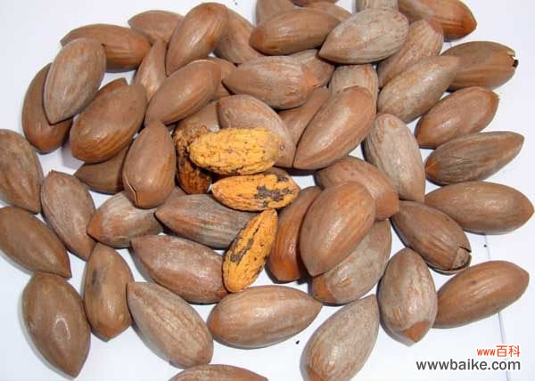 吃香榧的坏处 香榧怎么吃？