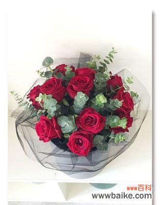 红玫瑰代表什么？一探玫瑰花语的奥秘 红玫瑰的意义