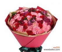 粉康乃馨花语象征意义是什么？粉康乃馨代表了哪些情感？