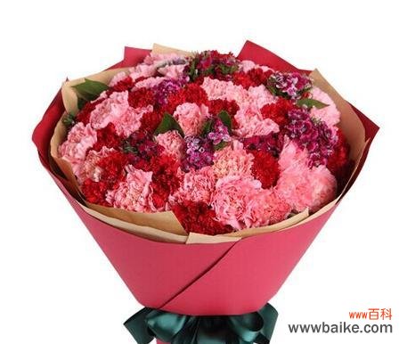 粉康乃馨花语象征意义是什么？粉康乃馨代表了哪些情感？