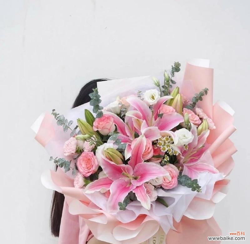 粉色百合的花语是什么?如何正确解读粉色百合的含义?