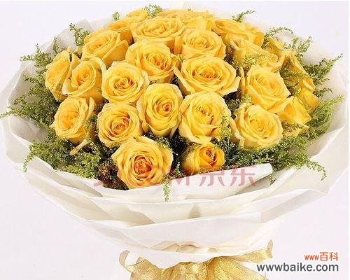 黄玫瑰花语、文化内涵与使用场合 黄玫瑰几朵代表的意义