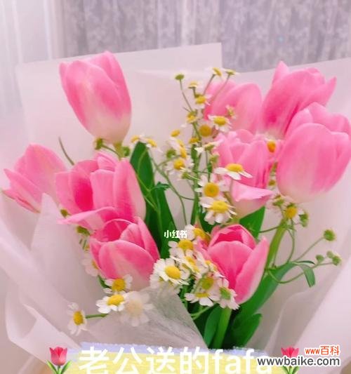 探究郁金香花语及其文化内涵 解密郁金香送几朵的含义