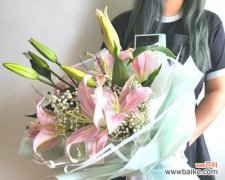 百合花语寓意及意义解析 圣诞百合，爱与希望的象征