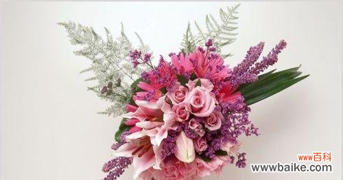 百合花语寓意及意义解析 圣诞百合,爱与希望的象征