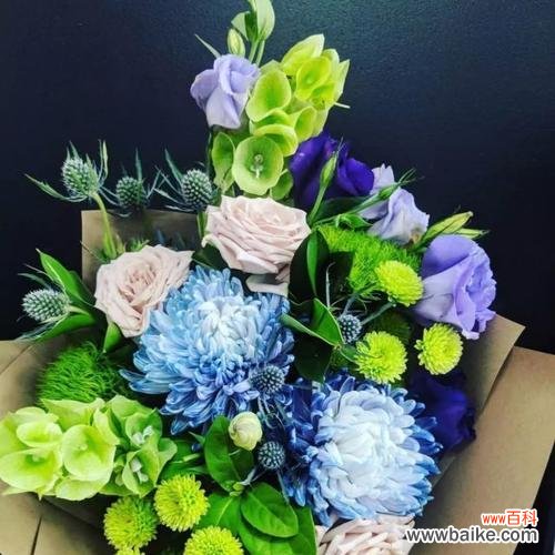 探寻珍珠花的花语与魅力 珍珠花