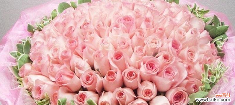 粉色玫瑰的花语是什么?粉色玫瑰代表什么含义?