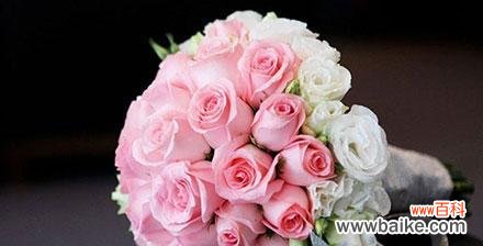 粉色玫瑰的花语是什么?粉色玫瑰代表什么含义?