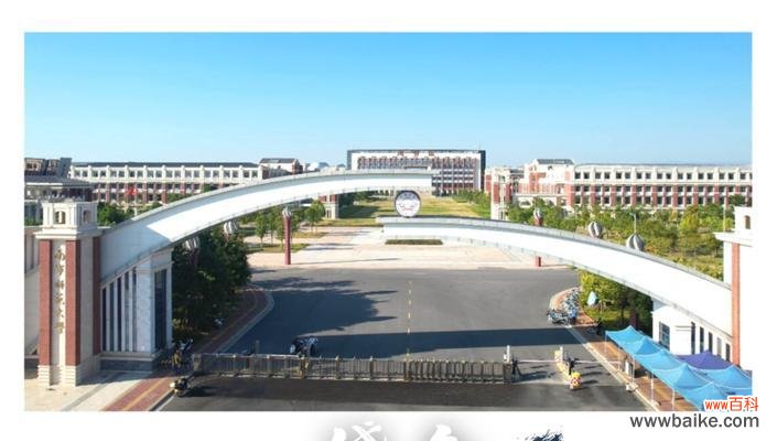 传承百年的文化符号 黄花槐的寓意意义