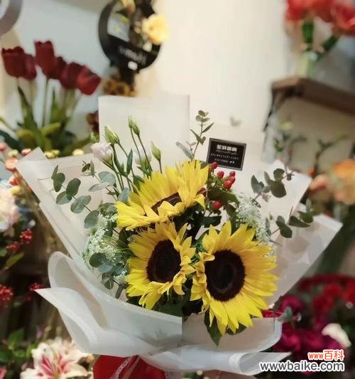 慈祥、纯洁、虔诚,蕴含着无穷的希望 白蔷薇之花语