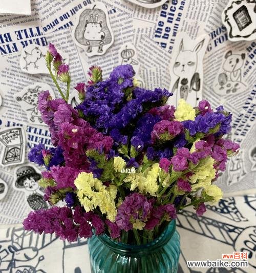 了解勿忘我,探寻其美丽与神秘 勿忘我的花语及象征意义