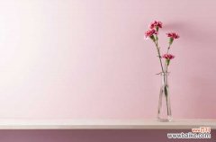 康乃馨叶子蔫了怎么办