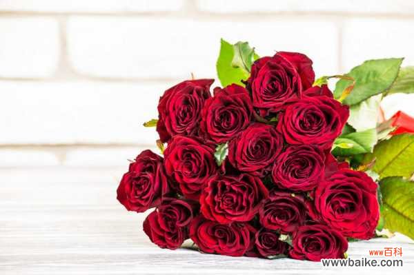 月季叶子卷曲怎么办