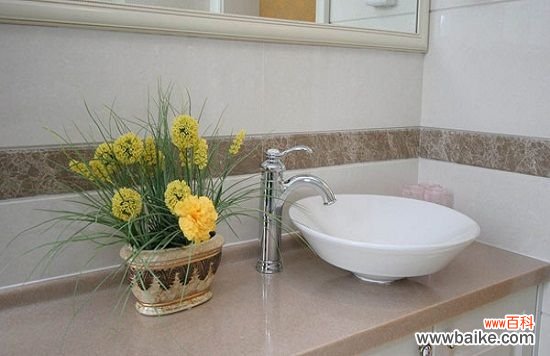 卫生间摆放什么花好:卫生间摆放花卉最佳选择是观叶植物