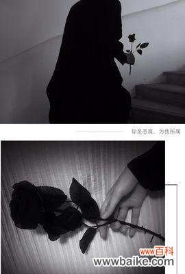 黑色玫瑰的含义与象征，让心灵沉醉于美好情感 浪漫之花——黑色玫瑰的花语