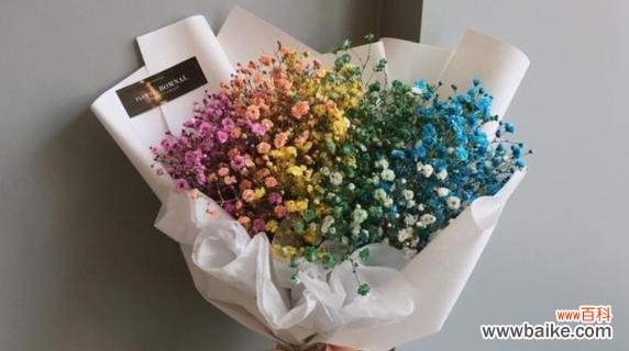 美丽的花卉语言传递情感 满天星花语解读