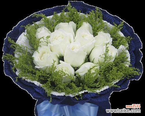 11朵白玫瑰所表达的含义和文化背景 11朵白玫瑰的花语