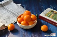 金桔树叶子干枯怎么办