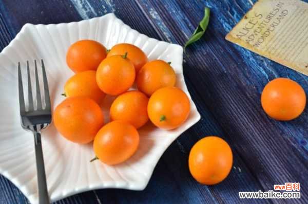 金桔树掉叶子怎么办