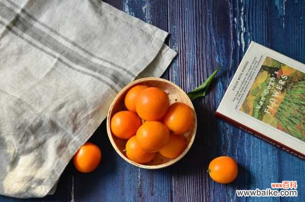 金桔树掉叶子怎么办