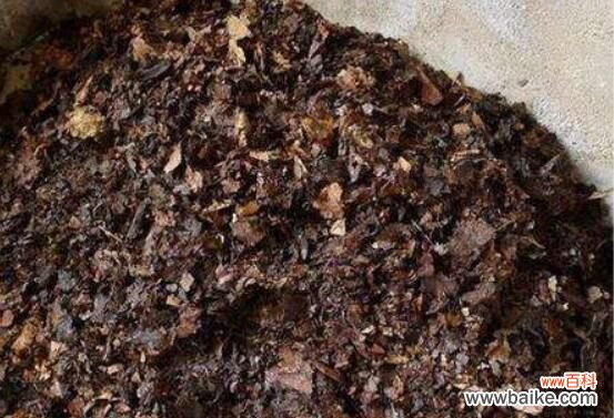 10种简单又有效的自制花肥养花肥秘方