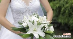 探索白百合花的美学和文化 白百合花的意义和象征