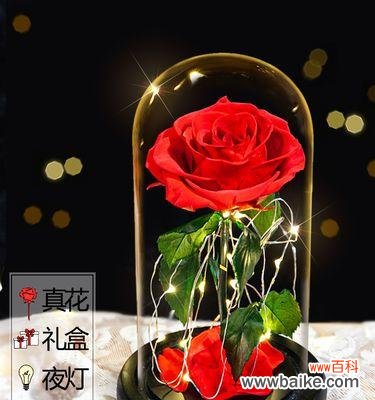 探寻花语，感受永恒 永生花的花语