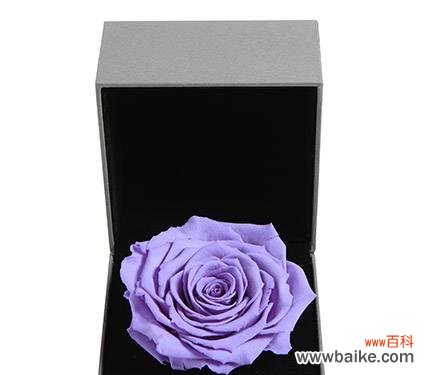 探寻花语，感受永恒 永生花的花语