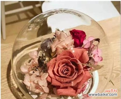 探寻花语，感受永恒 永生花的花语