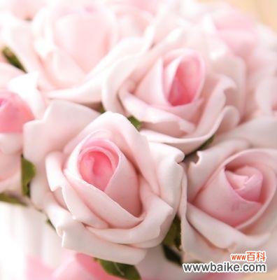 探寻粉红色玫瑰的含义与象征 粉红色玫瑰的花语