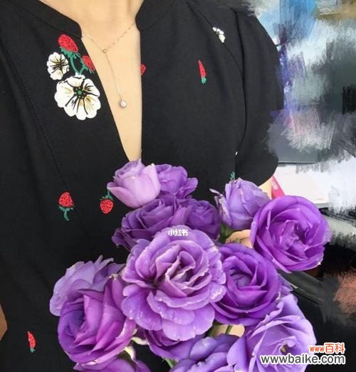 探寻紫色桔梗花的花语寓意及文化象征 紫色桔梗花的花语与寓意