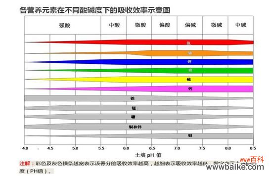 养花技巧：如何调整盆栽土壤PH值