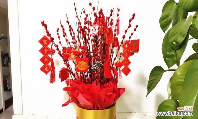 探寻银柳背后的情感世界 银柳花语的深意