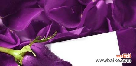 探索紫色玫瑰背后的深意 紫色玫瑰的花语与寓意