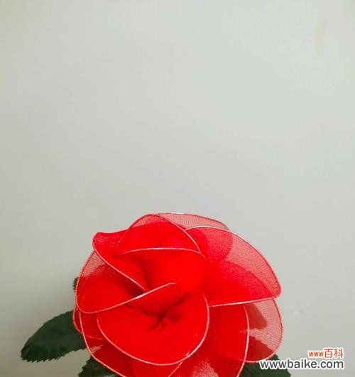 深度解读玫瑰花的数量含义 三十三朵玫瑰的象征意义