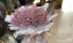 一朵花散发的温馨情感与人生哲理 浪漫花语，玫瑰花的多彩世界