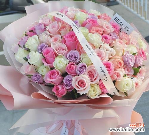 玫瑰花语大全及文化背景 1到99朵玫瑰的含义