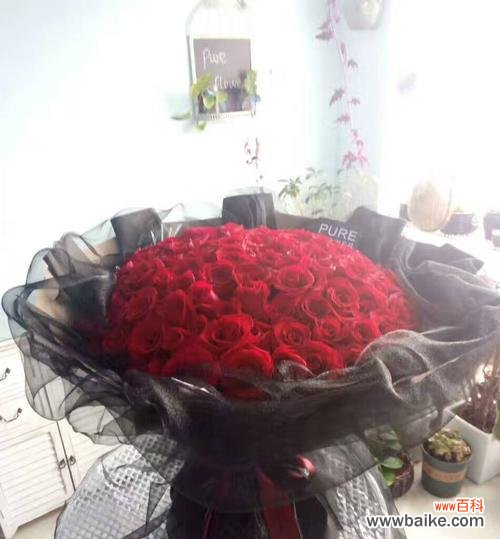 玫瑰花语大全及文化背景 1到99朵玫瑰的含义