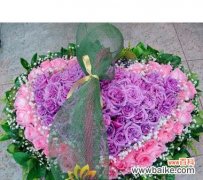 探寻紫色玫瑰花语的意义及象征，感受爱情的深度和魅力 传承爱情的神话——紫色玫瑰花语