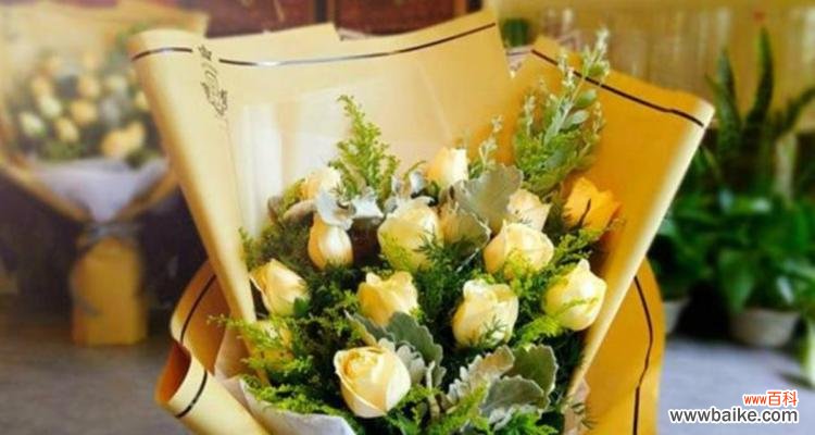 解读这种美丽鲜花背后的深刻含义 香槟玫瑰的花语与寓意