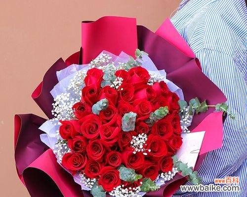 送多少朵才表示何种情感? 玫瑰花的寓意与送花数