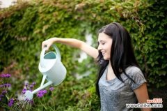 夏季给植物浇水的正确姿势