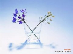 最常见养花误区，最实用养花小技巧