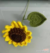 探究向日葵所代表的含义与象征 向日葵花语的美好寓意