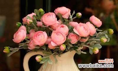 探究白蔷薇的象征意义 白蔷薇花语的含义