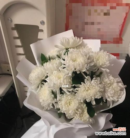 白菊花语传递的生命哲学和人生态度 白菊花语-淡泊明志的坚守