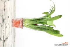 鸿运当头叶子发黑怎么办